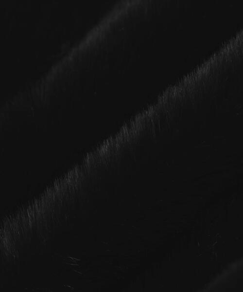 DANKE SCHON(ダンケシェーン)の「DankeSchon/ダンケシェーン/ECO FUR HOOD BLOUSON BLACK(その他アウター・メンズ・ブラック・L/M)」の16枚目の写真