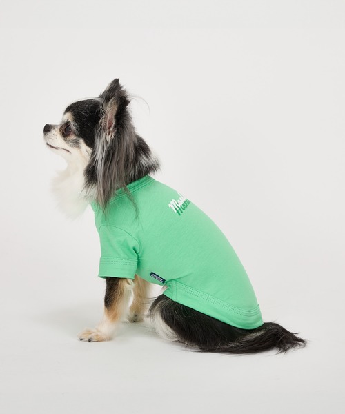 セール】【接触冷感/防虫】シャドウロゴクールTシャツ/小型犬/XS/S