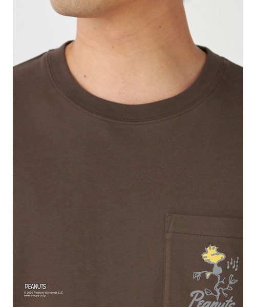 McGREGOR(マックレガー)の「【PEANUTS】プリントTシャツ(ウッドストック)(Tシャツ/カットソー・メンズ・ブラック/ダークブラウン・L/M)」の7枚目の写真
