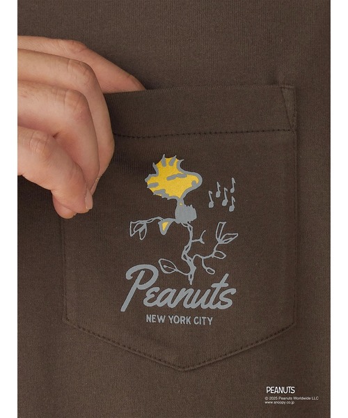 McGREGOR(マックレガー)の「【PEANUTS】プリントTシャツ(ウッドストック)(Tシャツ/カットソー・メンズ・ブラック/ダークブラウン・L/M)」の9枚目の写真