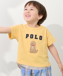 petit main(�v�e�B�}�C��)�́yPOLO BCS�z�A�b�v���P����T�V���c(T�V���c/�J�b�g�\�[)