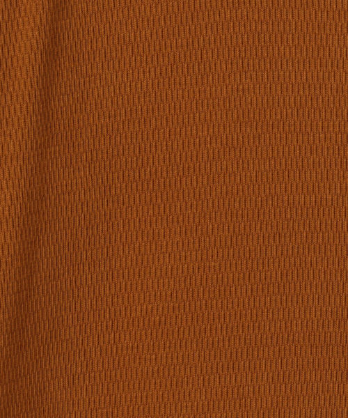 SHIPS（シップス）の「バックオープンワンピース（ワンピース・レディース・ブラック/キャメル・ONE SIZE）」の10枚目の写真