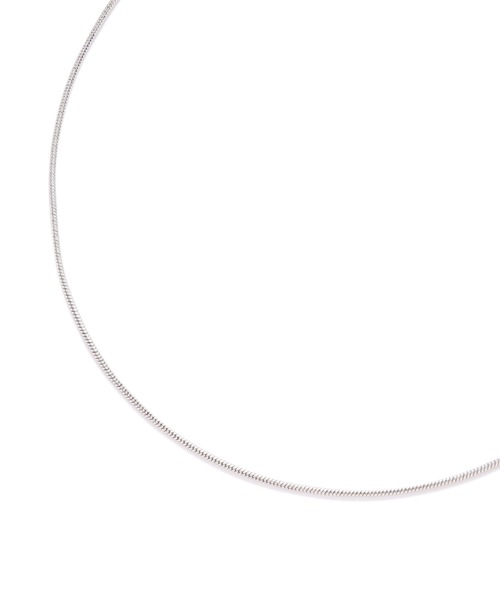 N.（N. Natural Beauty Basic）（エヌエヌナチュラルビューティーベーシック）の「2ポイントマンテルネックレス（ネックレス・レディース・シルバー/ゴールド・FREE）」の10枚目の写真