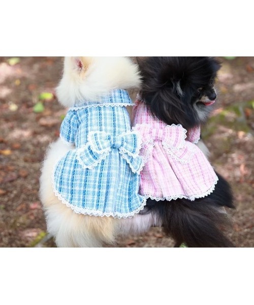 【minimo】チェックリボンコート/犬服(ドッグウェア)(SU)（ペットウェア）｜tone（トーン）