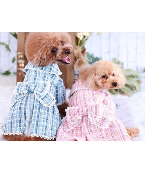 【minimo】チェックリボンコート/犬服(ドッグウェア)(SU)（ペットウェア）｜tone（トーン）