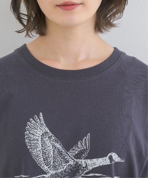 ems excite(エムズエキサイト)の「かすれプリントTEE(Tシャツ/カットソー・レディース・グリーン/チャコールグレー/ライトグレー・FREE)」の14枚目の写真