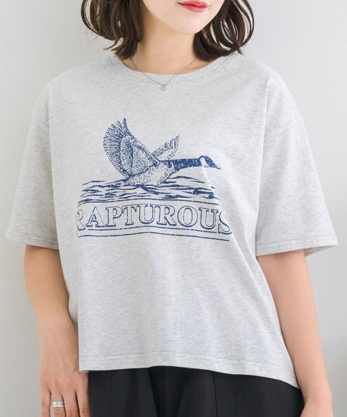 ems excite(エムズエキサイト)の「かすれプリントTEE(Tシャツ/カットソー・レディース・グリーン/チャコールグレー/ライトグレー・FREE)」の3枚目の写真