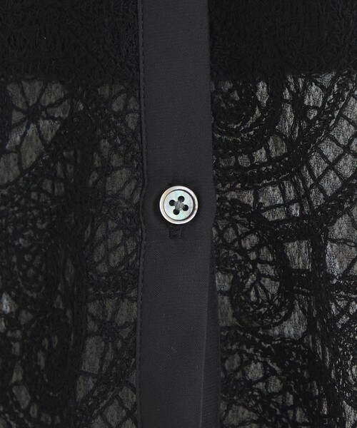 green label relaxing（グリーンレーベルリラクシング）の「レース チュニック ブラウス（シャツ/ブラウス・レディース・ブラック/オフホワイト・FREE）」の18枚目の写真