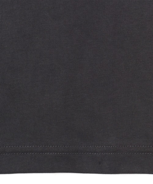 THE NORTH FACE（ザノースフェイス）の「THE NORTH FACE S/S GREAT RACE Tee / ザ・ノース・フェイス ショート スリーブ グレート レース ティー（Tシャツ/カットソー・メンズ・グレー/ホワイト/ネイビー・M/L/XL/XXL/S）」の15枚目の写真