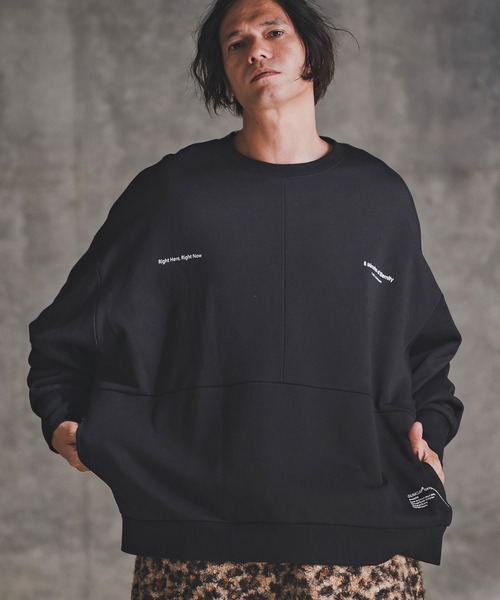 msw1765-Point Graphic Sweat shirt スウェットプルオーバー(192-058-gla-cf)