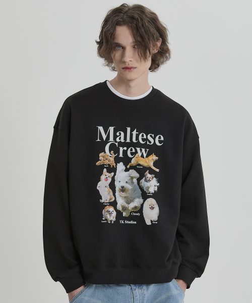 WaiKei（ワイケイ）の「マルチーズクルー スウェット ブラック（スウェット・レディース・その他・2/1）」の2枚目の写真