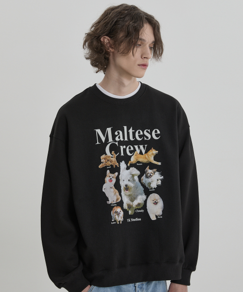 WaiKei（ワイケイ）の「マルチーズクルー スウェット ブラック（スウェット・レディース・その他・2/1）」の3枚目の写真