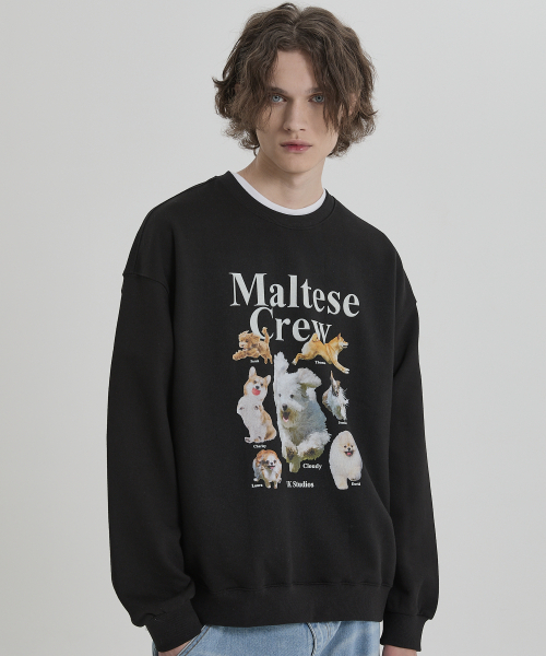 WaiKei（ワイケイ）の「マルチーズクルー スウェット ブラック（スウェット・レディース・その他・2/1）」の4枚目の写真