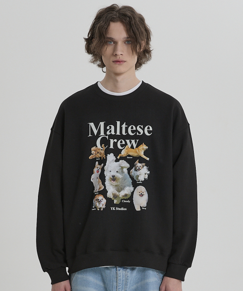 WaiKei（ワイケイ）の「マルチーズクルー スウェット ブラック（スウェット・レディース・その他・2/1）」の5枚目の写真