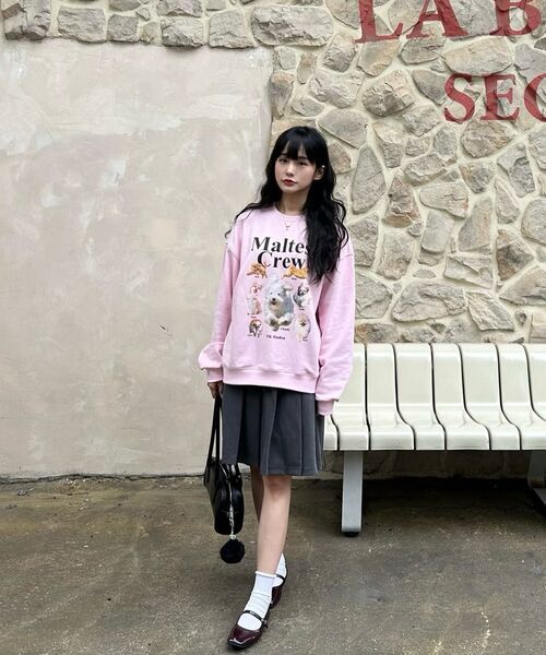 WaiKei（ワイケイ）の「マルチーズクルー スウェット ブラック（スウェット・レディース・その他・2/1）」の14枚目の写真