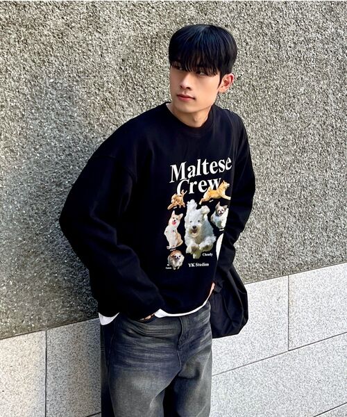 WaiKei（ワイケイ）の「マルチーズクルー スウェット ブラック（スウェット・レディース・その他・2/1）」の21枚目の写真