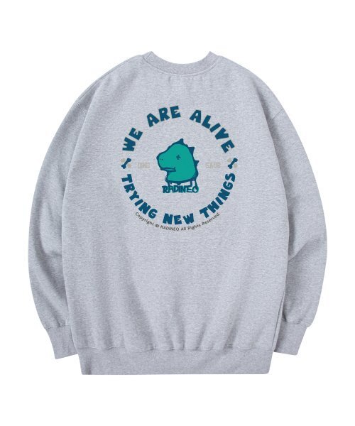 RADINEO(ラディネオ)の「アライヴダイノ スウェット グレー(スウェット・メンズ・その他・LARGE/MEDIUM/X-LARGE)」の1枚目の写真