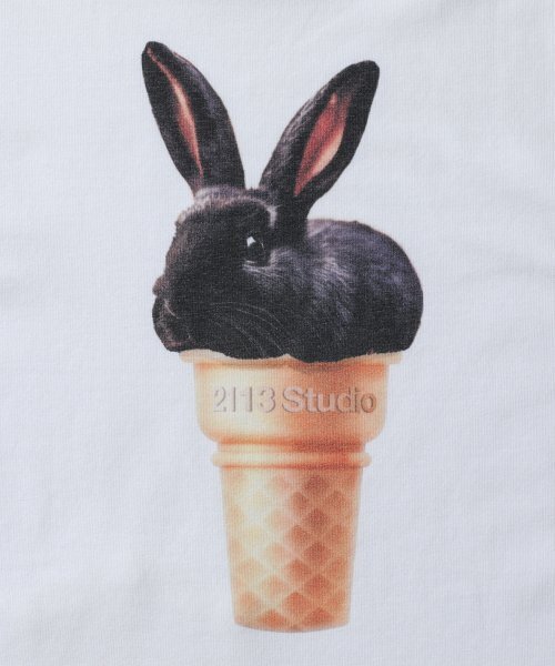 2113 STUDIO(イイルイルサムスタジオ)の「エアロクロップTシャツ11(Tシャツ/カットソー・レディース・その他・FREE)」の2枚目の写真