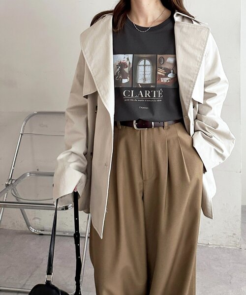 DISCOAT(ディスコート)の「3フォトプリントTシャツ(Tシャツ/カットソー・レディース・ライトベージュ/オフホワイト/チャコールグレー・FREE)」の22枚目の写真