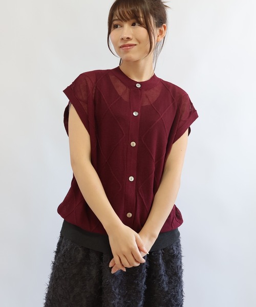 etre relie(エトレリー)の「シアーアーガイルベスト(ニット/セーター・レディース・ライトグレー/ブラック/オフホワイト/ワイン・MEDIUM)」の12枚目の写真