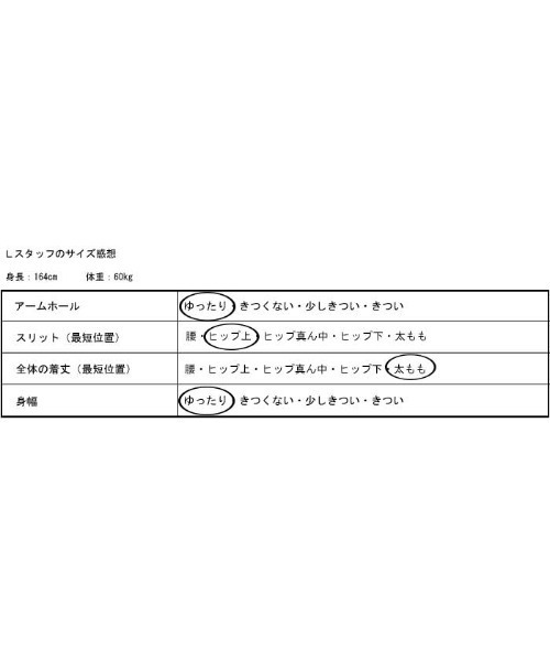 antiqua(アンティカ)の「大人の品格。バー付きキーネックトップス(Tシャツ/カットソー・レディース・ブラック/ベージュ/カーキ/ブラウン系その他/ブラウン系その他2/オフホワイト・FREE)」の14枚目の写真