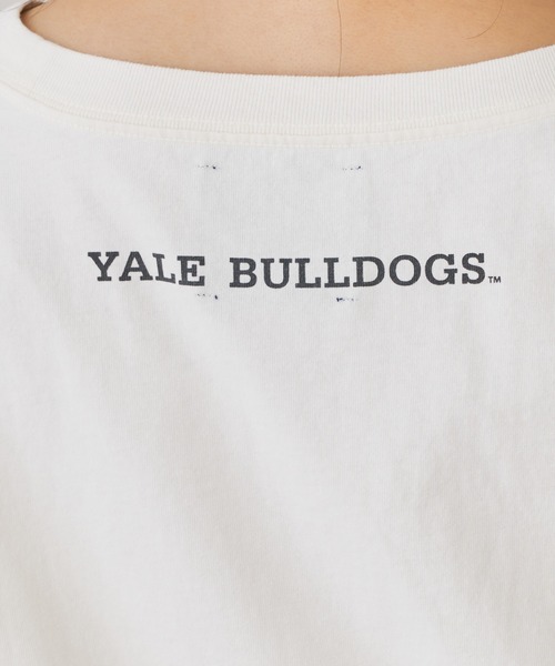 Chico(チコ)の「YALEロゴプリントラグビーTシャツ(Tシャツ/カットソー・レディース・ネイビー/パープル/チャコールグレー/ホワイト・FREE)」の16枚目の写真