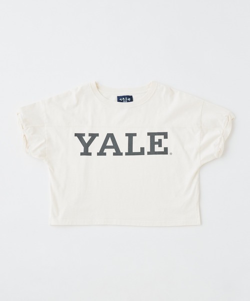 Chico(チコ)の「YALEロゴプリントラグビーTシャツ(Tシャツ/カットソー・レディース・ネイビー/パープル/チャコールグレー/ホワイト・FREE)」の19枚目の写真