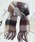 Salong hameu�i�T���� �n�~���[�j�́u�{�����[���t�����W�}�t���[ �唻�X�g�[�� ���n �`�F�b�N��/�ӂ�ӂ�N�� ���j�Z�b�N�X�i�}�t���[�j�v�b�u���E���n���̑�