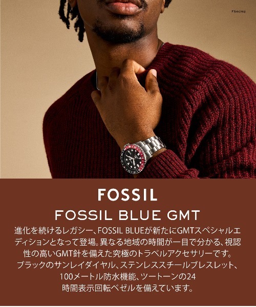 FOSSIL(フォッシル)の「フォッシル 腕時計 メンズ アナログ ステンレス FS6092(アナログ腕時計・メンズ・シルバー・FREE)」の10枚目の写真