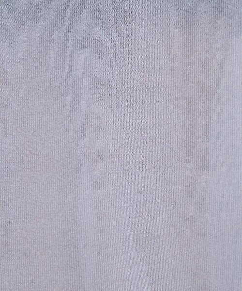 GALLARDAGALANTE（ガリャルダガランテ）の「【25th記念アイテム】シアービジュースカート（スカート・レディース・パープル・FREE）」の16枚目の写真