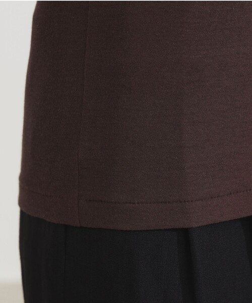 Demi-Luxe BEAMS（デミルクス ビームス）の「AK+1 / シアー Tシャツ（Tシャツ/カットソー・レディース・グリーン/ダークブラウン/ブルー系その他2・ONE SIZE）」の16枚目の写真