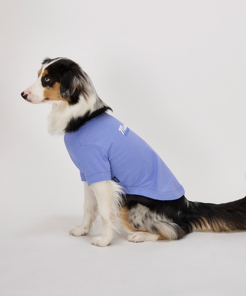 接触冷感/防虫】シャドウロゴクールTシャツ/小型犬・中型犬/XL/XLB
