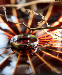 YArKA | 【YArKA/ヤーカ】stainless series simple3.5mm ring/ステンレスシンプル3.5ミリリング(リング)