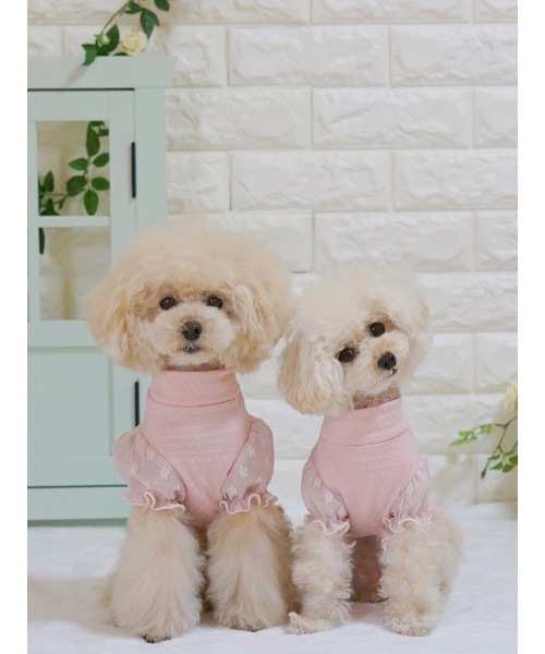 PINK HOUSE チワワ 犬 ピコフリル チェック パフスリーブ ブラウス セール】 Berry Rose刺繍入りアンティークギンガムチュニック