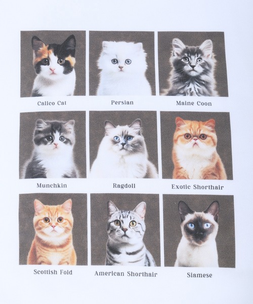 WC（ダブル シー）の「アニマルビッグスウェット（スウェット・レディース・その他1/その他2・FREE）」の21枚目の写真