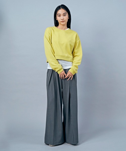 LIENCOEUR（リアンクール）の「ショートフライストップス（Tシャツ/カットソー・レディース・ライトイエロー/グレー/ライトグリーン/アイボリー/ライトブルー・FREE）」の20枚目の写真