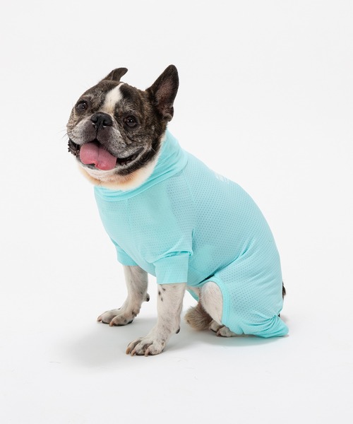 いちいぬ様確認用 ガーデンオーナメント 吠える ワンワンリキ 庭 置物 犬 リアル