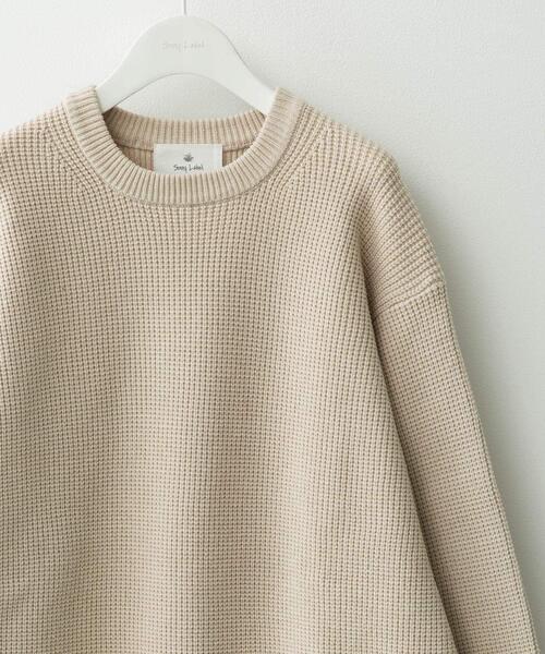 URBAN RESEARCH Sonny Label(アーバンリサーチサニーレーベル)の「ウォッシャブルワッフルニットプルオーバー(ニット/セーター・メンズ・グレー/ブルー/チャコールグレー/ホワイト系その他/ブラウン・MEDIUM/LARGE/X-LARGE)」の2枚目の写真