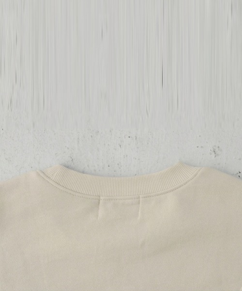 antiqua(アンティカ)の「バックデザイン プルオーバー(Tシャツ/カットソー・レディース・ピンク系その他/アイボリー/チャコールグレー・FREE)」の19枚目の写真