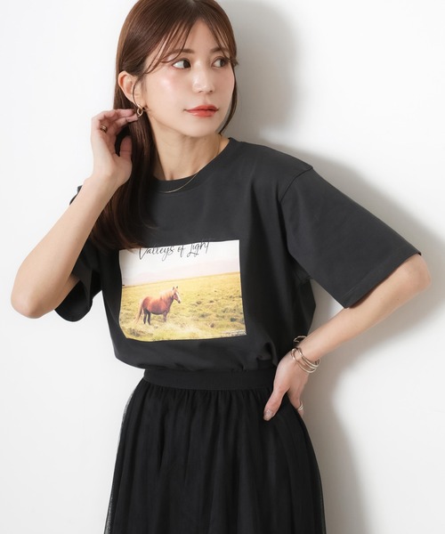 Riberry(リベリー)の「馬フォトプリント半袖Tシャツ(Tシャツ/カットソー・レディース・アイボリー/チャコールグレー/ベージュ・FREE)」の2枚目の写真