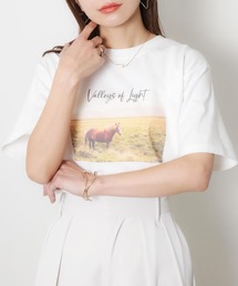 馬フォトプリント半袖Tシャツ