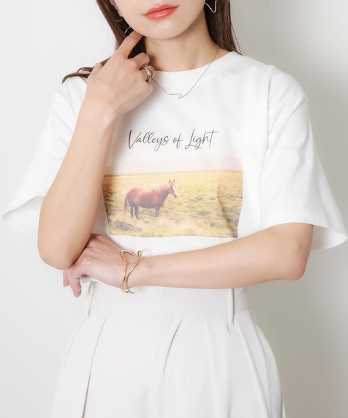 Riberry(リベリー)の「馬フォトプリント半袖Tシャツ(Tシャツ/カットソー・レディース・アイボリー/チャコールグレー/ベージュ・FREE)」の1枚目の写真