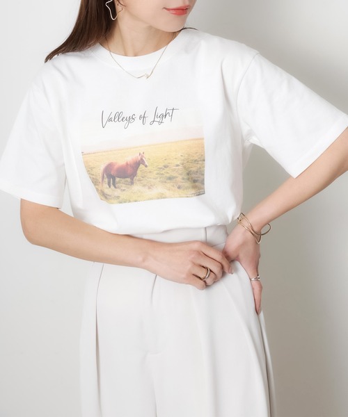 Riberry(リベリー)の「馬フォトプリント半袖Tシャツ(Tシャツ/カットソー・レディース・アイボリー/チャコールグレー/ベージュ・FREE)」の15枚目の写真