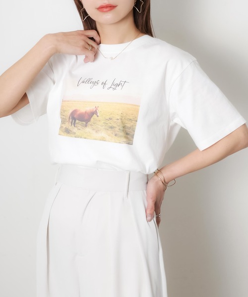 Riberry(リベリー)の「馬フォトプリント半袖Tシャツ(Tシャツ/カットソー・レディース・アイボリー/チャコールグレー/ベージュ・FREE)」の5枚目の写真
