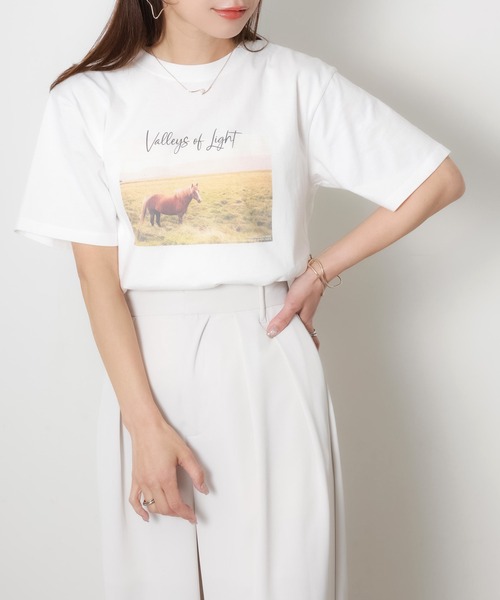 Riberry(リベリー)の「馬フォトプリント半袖Tシャツ(Tシャツ/カットソー・レディース・アイボリー/チャコールグレー/ベージュ・FREE)」の4枚目の写真