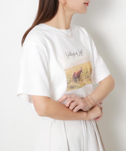 Riberry(リベリー)の「馬フォトプリント半袖Tシャツ(Tシャツ/カットソー・レディース・アイボリー/チャコールグレー/ベージュ・FREE)」の16枚目の写真