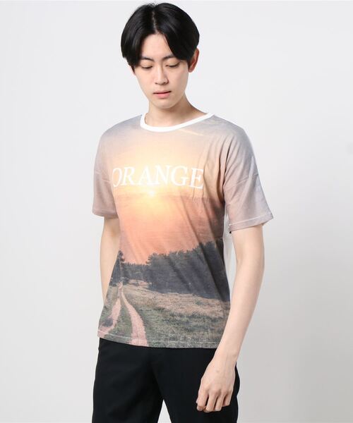 gym master（ジムマスター）の「ビッグフォトTee（Tシャツ/カットソー・メンズ・その他1/その他2/その他3/その他・MEDIUM/LARGE）」の2枚目の写真