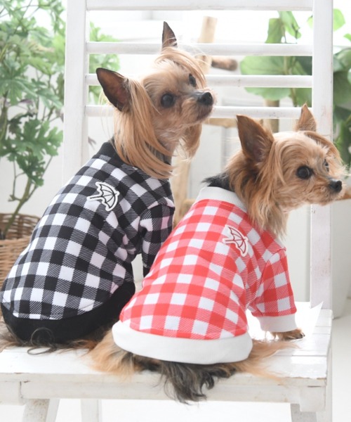 犬服　XLARGE  Arnold Palmer  3点セット Arnold Palmer（アーノルドパーマー） | 犬服・ドックウェア