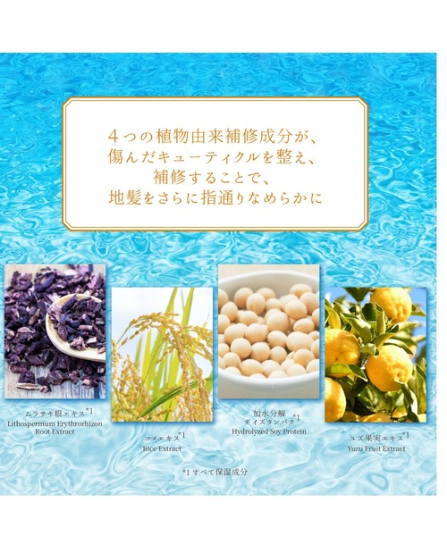 シャンプー D SHI-KOU 紫光 シコウ モイストシャンプー 艶とうるおい香りの