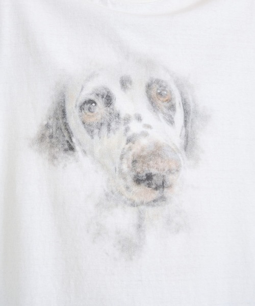 MIHARAYASUHIRO(ミハラヤスヒロ)の「【Maison MIHARAYASUHIRO / メゾンミハラヤスヒロ】 DOG PRINTED TEE(Tシャツ/カットソー・メンズ・ブラック/ホワイト・44/46/48)」の11枚目の写真
